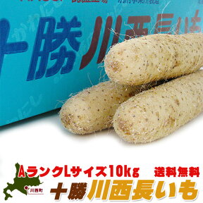 十勝川西長いも10kg【AランクLサイズの長芋】HACCP認証 真っ白できめ細かい肉質のながいも とろろ芋にすると粘りがあります【北海道特産品の長イモ】消化に良い山うなぎ【送料無料】※