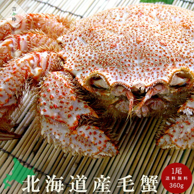 毛がに360g【北海道産毛蟹】ボイルケガニ【冷凍毛ガニ】蟹味噌が最高のカニ 三大蟹の1つのけがに【おひとり様用毛蟹　独り占め毛がに】ほっかいどうの味【贈物 ギフト 個人用】送料無料