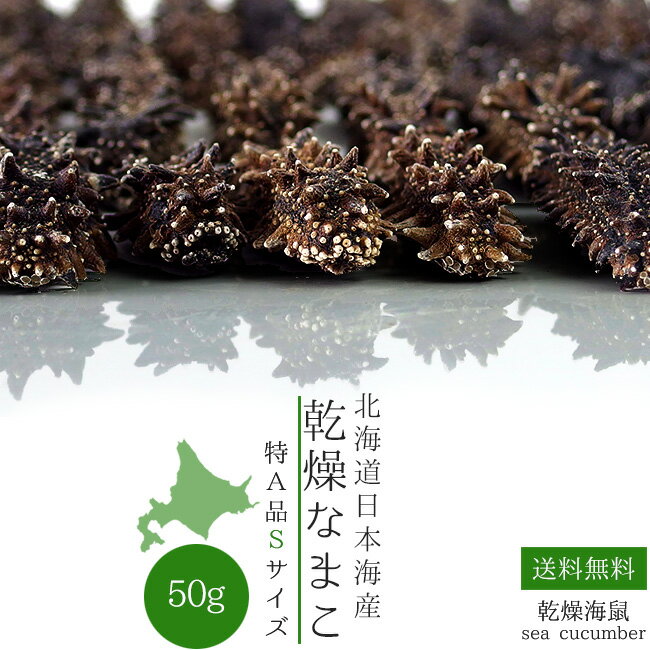 乾燥ナマコ特A級品Sサイズ50g 1本4g前後【特Aランク】...