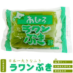 ラワンぶき 200g×2袋 【北海道足寄町産】足寄町の大自然で育まれたフキを味わいそのままに仕上げました。【北海道産螺湾ぶき水煮】食感と香りが豊かな蕗水煮です。【煮物　和え物　天ぷら ふき水煮 ラワンブキ 螺湾ぶき 山の幸 山菜】【メール便対応】