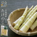 たけのこ 70g×4袋【北海道産】【山彩日和】優しい甘さ、シャキシャキの食感。【山菜水煮　ねまがりたけ　根曲り竹　竹の子　タケノコ　..