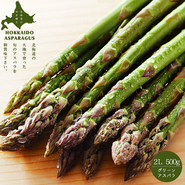 グリーンアスパラガス【2L 500g】北海道産アスパラ 送料無料【ギフト 贈物 プレゼント】産地直送 最高級品【グリーンアスパラ 春野菜】竜髭菜 あすぱらがす 石刀柏【おうちグルメ お取り寄せグルメ】※5月中旬頃より収穫次第順次発送