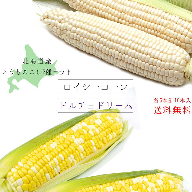 ドルチェドリーム & ロイシーコーン【各5本、計10本】とうもろこし2種セット ほっかいどう 産地直送【北海道産 朝もぎ】糖度の高いトウキビ 生でも美味しい フルーツトウモロコシ【スイーツコーン バイカラー種 白いとうもろこし】【送料無料】※8月下旬から収穫次第順次発送のサムネイル