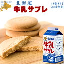 牛乳サブレ5枚入り×48個【北海道牛乳サブレ】北海道産原料使用 小麦粉 バター【わかさや本舗 焼き菓子】美味しいさぶれ スイーツ【おやつ お茶菓子 ギフト お返し お祝い プレゼント お土産 手土産】牛の刻印 焼菓子【送料無料】