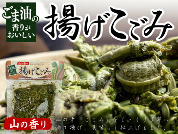 揚げこごみ 300g【山の香り】山の幸「コゴミ」をじっくり丁寧に油で揚げ美味しく仕上げました 【ごま油の香りがおいしい】ごま油の香りと屈の食感が山菜好きにはたまらない