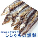 ししゃもの燻製 38g まるごと骨まで旨い柳葉魚のくんせい