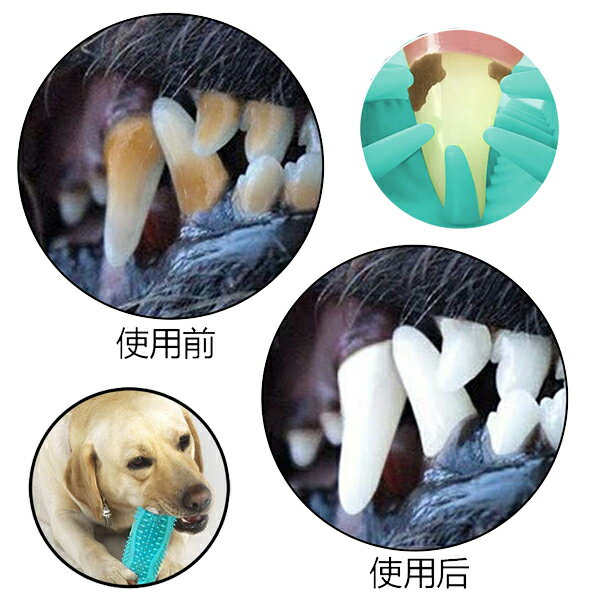 【動画あり】ワンちゃんの歯をクリーニングおもちゃ 歯ブラシ 柔らかい天然ゴム玩具 口をきれいにする 息リフレッシュ 耐久性のある ペット口腔ケア用 M