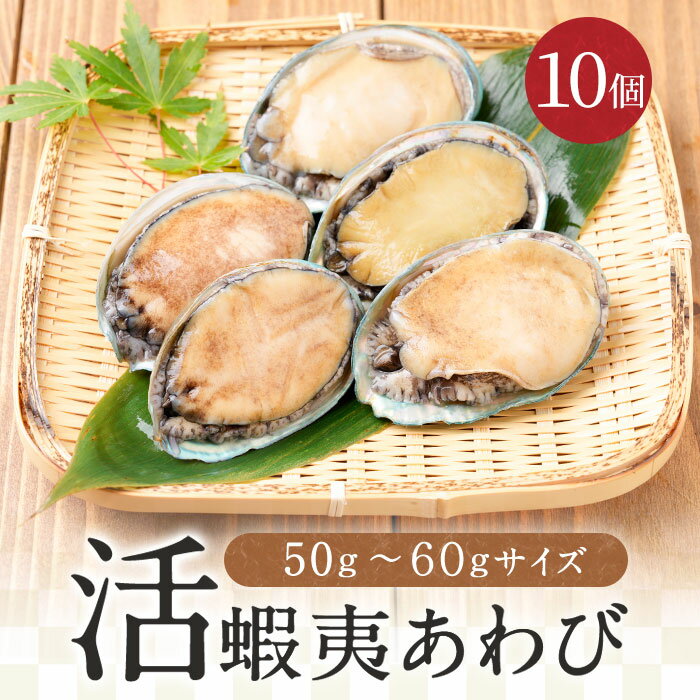 活 蝦夷 あわび 50g-60gサイズ 10個入