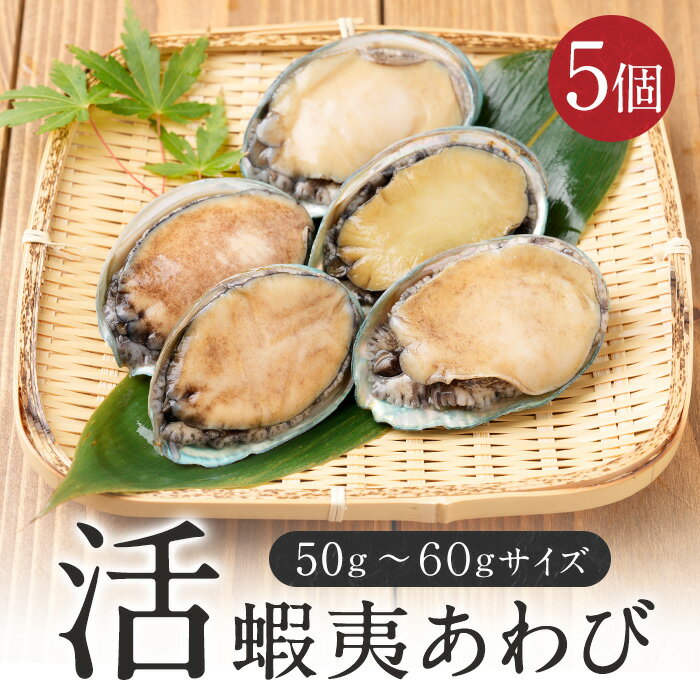 活 蝦夷 あわび 50g-60gサイズ 5個入り 蝦夷あわび 蝦夷アワビ 高級食材 送料無料 アワビ 鮑 活きアワビ バーベキュー BBQ お取り寄せグルメ 海鮮 お取り寄せ 誕生日 内祝い 出産内祝い 快気内祝い 戌の日 安産祈願