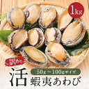 【訳あり】 活 蝦夷 あわび 蝦夷あわび 蝦夷アワビ 1kg～4kg 1個約50-100gサイズ ( 1袋 : 12個 - 18個入 ) 高級食材 …