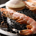 赤エビ 5尾 バーベキュー セット バーベキューセット 海鮮 浜焼き 詰め合わせ 海鮮詰め合わせ 海鮮セット BBQ 海鮮BBQ 浜焼き 食べ物 バーベキュー用...