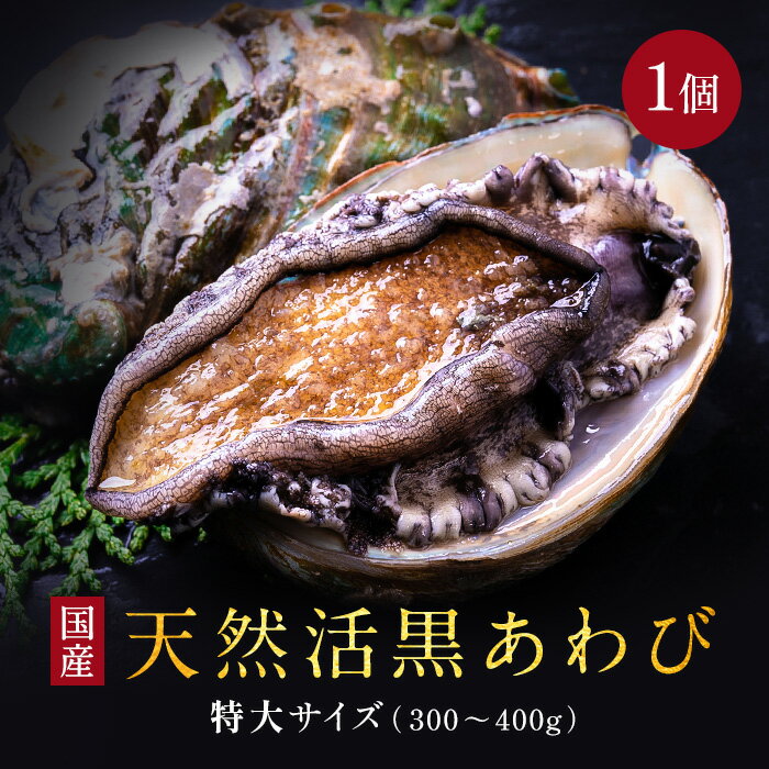 活 あわび 黒あわび 天然 黒あわび 天然黒あわび 300-400g前後 1個 三重県産 送料無料 アワビ 鮑 訳あり 活アワビ 活きアワビ 活きあわび 海鮮丼 ご自宅ねた bbq バーベキュー 海鮮 食品 お取り寄せ 鮑 貝 蝦夷あわび 蝦夷アワビ 活あわび 内祝い ギフト プレゼント お祝い