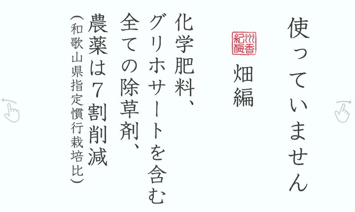 無添加 送料無料 梅干し [訳あり 減塩 つぶれ梅] ◇500g × 2個セット◇(1キロ)農薬7割削減 南高梅 (合計1キロ)＜中~大粒＞(減塩梅干し 低塩分 南高梅 国産 お取り寄せグルメ 産地直送 和歌山県産 紀州梅 つぶれ 塩分控え目 塩分3%)(北海道・沖縄県のみ要送料)