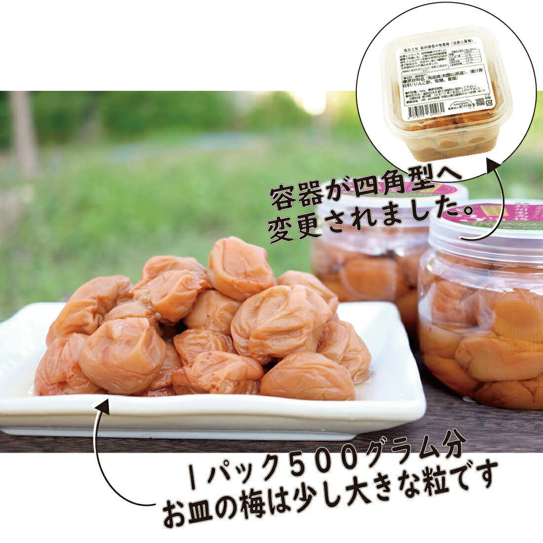 無添加 送料無料 梅干し [訳あり 減塩 つぶれ梅] ◇500g × 2個セット◇(1キロ) 塩分3% 農薬7割削減 南高梅 (合計1キロ)＜中~大粒＞(減塩梅干し 低塩分 南高梅 国産 お取り寄せグルメ 産地直送 和歌山県産 紀州梅 つぶれ 塩分控え目 )(北海道・沖縄県のみ要送料) 3