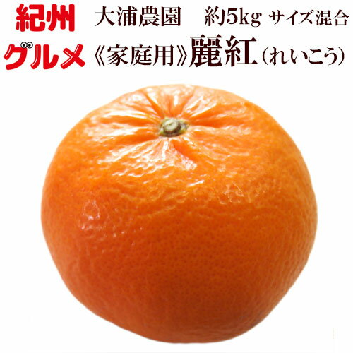 麗紅 れいこう 約5kg 家庭用 サイズ混合 送料無料 大浦農園 2月中旬頃より順次発送