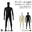 日本人体型カスタマイズモデル 全身可動マネキン サンドールLight フレキシブル関節 メンズトルソー ウレタンボディ ウエストスタンド