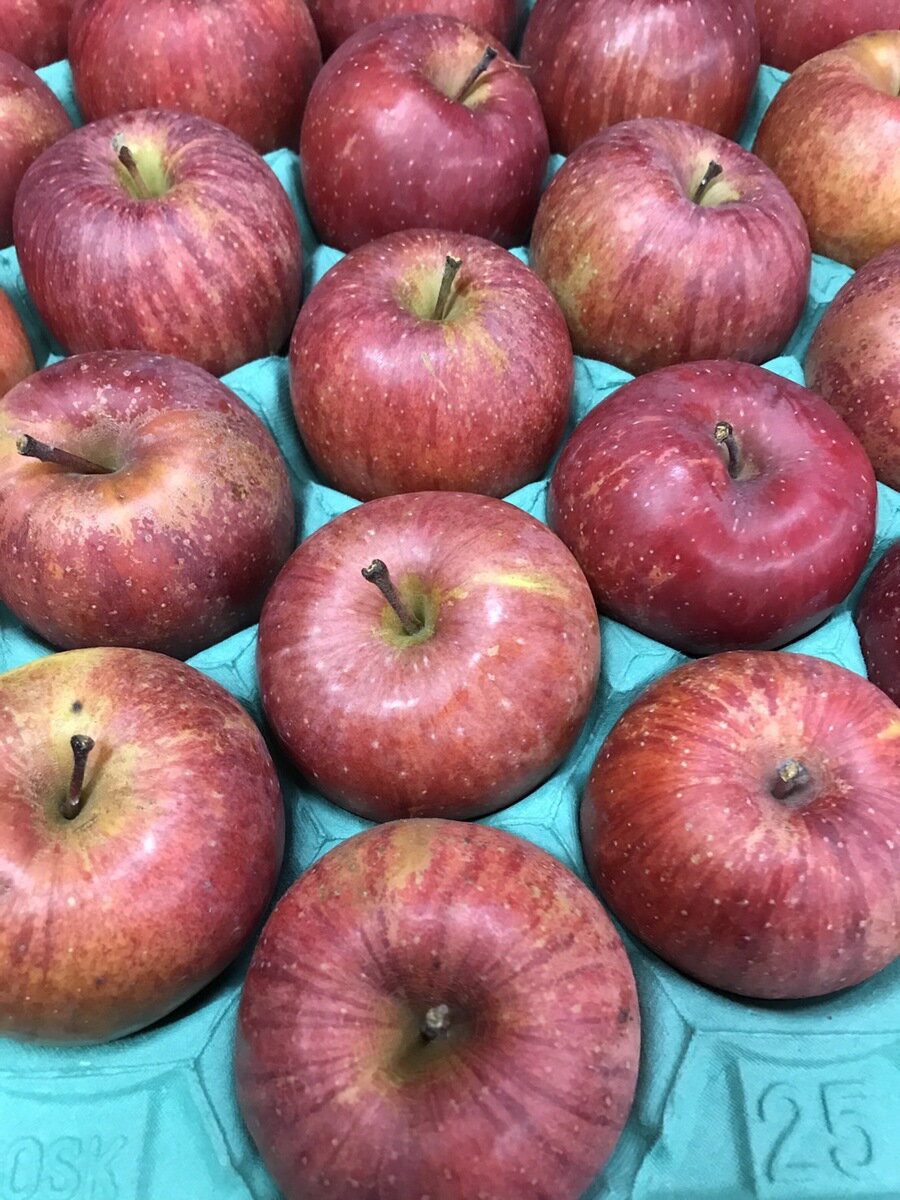 信州産 減農薬無袋栽培 訳ありりんご 「サンふじ」 ジュース等加工向き 小玉サイズ18〜28玉　約4.2〜5kg入り/箱【送料無料（一部地域は有料）】小玉サイズをお得用にご奉仕中です。のサムネイル