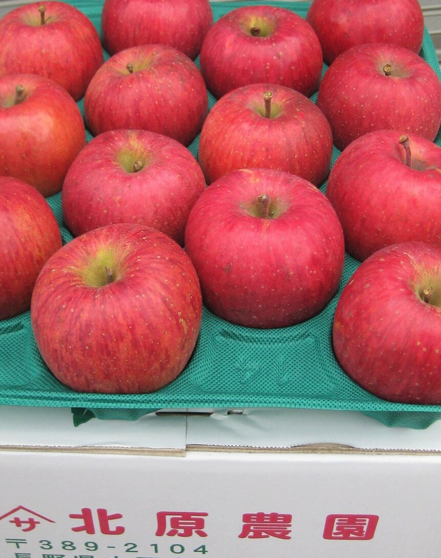 11月下旬発送開始予定,予約受付中!信州産 減農薬無袋栽培 サンふじ中級ランク約4.5〜5kg(10〜20玉)【送料無料(一部地域は有料)】収穫&発送開始は11...