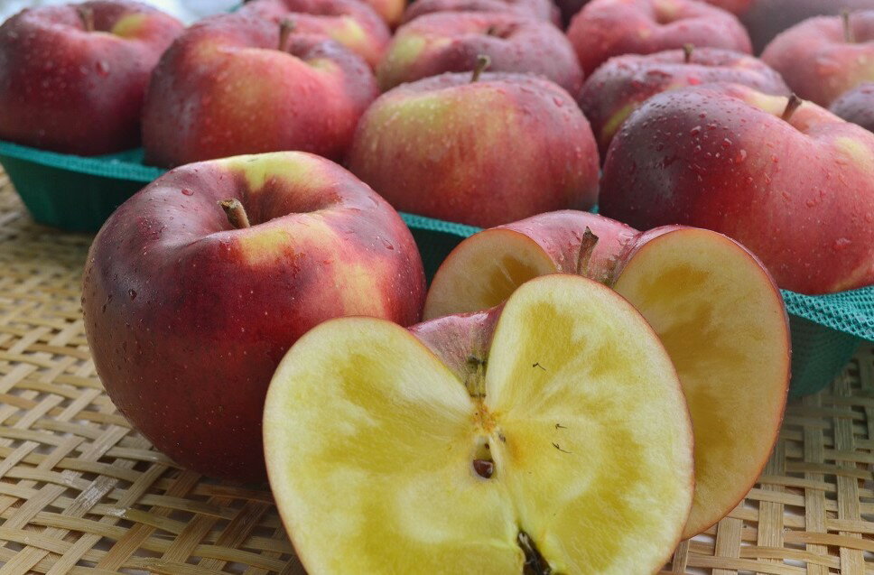 信州産 減農薬栽培「こうみつ」上級ランク 約2.7～3kg（5〜11玉）【送料無料（一部地域は有料）】パイナップルのような食感と甘味が特徴的な黒い外観の希少りんご！　収穫＆発送は11月20日過ぎ頃から順次開始予定！のサムネイル