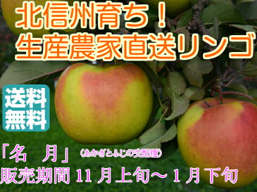 【送料無料】【訳ありリンゴ】フルーティーな甘味が特徴的で食べやすい！人気の黄色種りんご「名月」自家用ランク 約2.8〜3kg（6〜12玉）