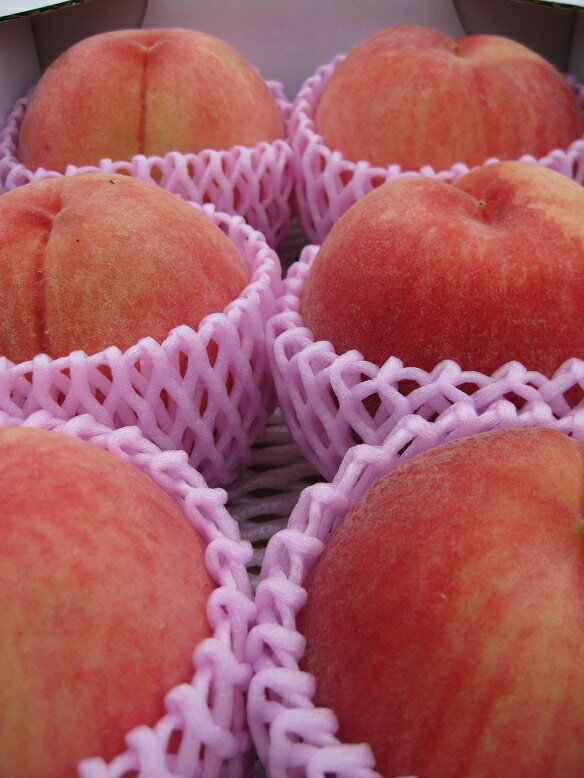 信州の名桃「川中島白桃」中級ランク...