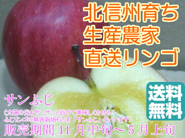 信州産 生産農家直送 訳ありりんご 「サンふじ」 ジュース等加工向き 20〜50玉 約9.5〜10kg入り/箱【送料無料(一部地域は有料)】
