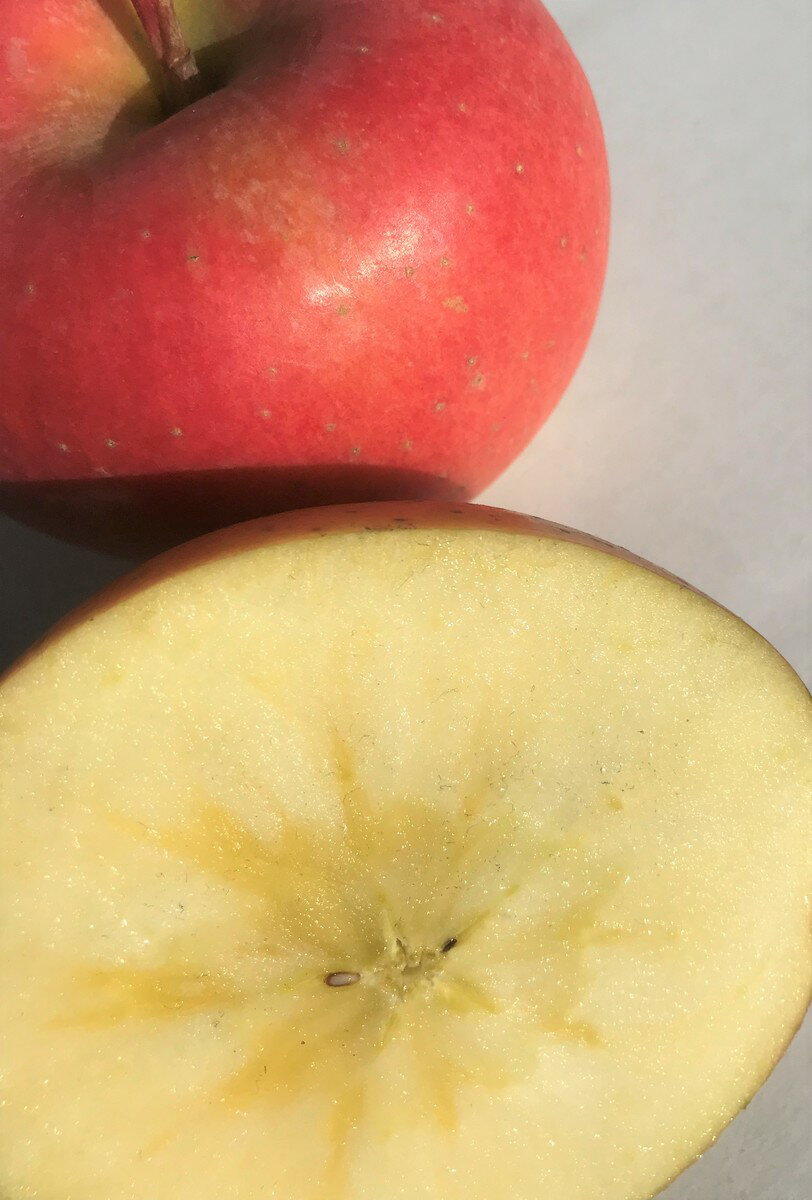 希少な幻の蜜りんご！「こうとく」訳あり自家用ランク 約1.8〜2kg（5〜12玉）パイナップルのような食感と蜜と甘味が特徴的な限定りんご 【送料無料（一部地域は有料）】収穫＆発送は11月上旬頃から順次開始します！のサムネイル