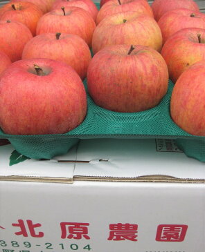 信州産 生産農家直送 訳ありりんご 「サンふじ」 ジュース等加工向き 20〜50玉 約9.5〜10kg入り/箱【送料無料(一部地域は有料)】