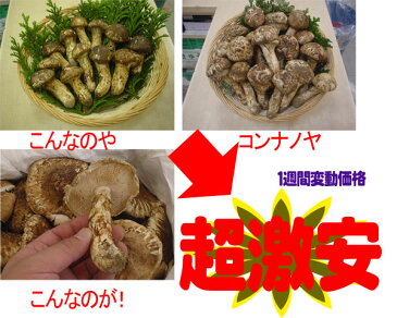 中国産　松茸　サイズM〜3L　1kg