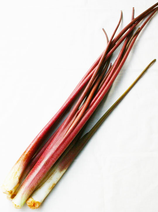 赤ずいき　500gのサムネイル