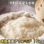 【令和3年産】もち米 10kg 青森県産 アネコモチ 【送料無料】ふっくらとしたお餅になります 青森県奨励品種
