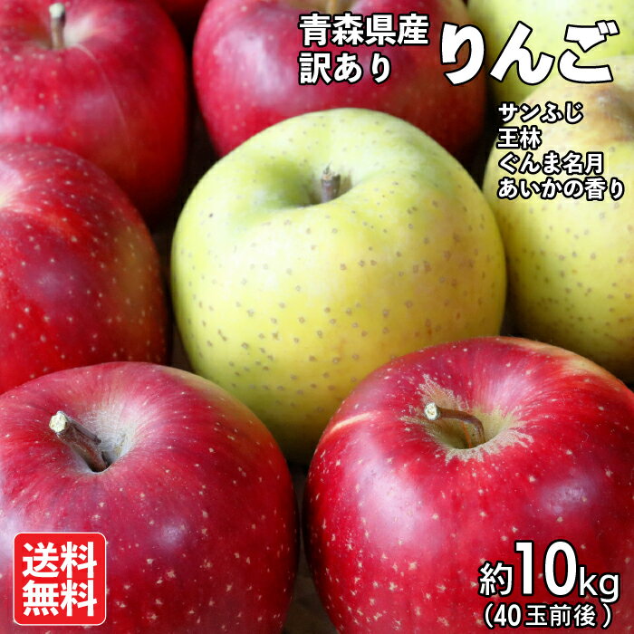 144 訳あり　りんご　品種おまかせなので格安！　約10kg　地域限定配送