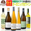 オーガニック認証 白ワインセット 【 送料無料 】 オーガニックワイン 白ワイン 6本セット 第04弾 【7,310円OFF】 | 白ワイン オーガニック フランス イタリア スペイン ギフト お祝いお中元 夏ギフト 【熨斗・のし対応 無料】