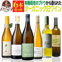 オーガニック認証 白ワインセット 【 送料無料 】 オーガニックワイン 白ワイン 6本セット 第03弾 【6,132円OFF】 | 白ワイン オーガニック フラ...