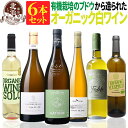 オーガニック認証 白ワインセット 【 送料無料 】 オーガニックワイン 白ワイン 6本セット 第04弾 【6,272円OFF】 | 白ワイン オーガニック フランス イタリア スペイン ギフト お祝いお中元 夏ギフト 【熨斗・のし対応 無料】