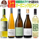 オーガニック認証 白ワインセット 【 送料無料 】 オーガニックワイン 白ワイン 5本セット 第04弾 【5,690円OFF】 | 白ワイン オーガニック フランス イタリア スペイン ギフト お祝いお中元 夏ギフト 【熨斗・のし対応 無料】