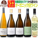 オーガニック認証 白ワインセット 【 送料無料 】 オーガニックワイン 白ワイン 5本セット 第04弾 【6,092円OFF】 | 白ワイン オーガニック フランス イタリア スペイン ギフト お祝いお中元 夏ギフト 【熨斗・のし対応 無料】