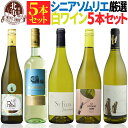 白ワインセット【 送料無料 】セット!大特価の白ワイン 5本セット! 第15弾 | 白ワイン フランス スペイン ドイツ 南アフリカ ギフト プレゼント おしゃれ お祝いお中元 夏ギフト 【熨斗・のし対応 無料】