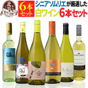 白ワインセット 【 送料無料 】当店のシニアソムリエが厳選!大特価の白ワイン 6本セット 第19弾【2,730円OFF】 | 白ワイン ワインセット フランス イタリア チリ ギフト プレゼント おしゃれ お祝いお中元 夏ギフト 【熨斗・のし対応 無料】