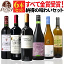ワインミックスセット 【 送料無料 】 すべて金賞受賞ワイン 納得の味わい 6本セット 第22弾 【5,680円OFF】 | 赤ワイン 白ワイン フランス スペイン オーガニック ギフト プレゼント おしゃれ お祝いお中元 夏ギフト 【熨斗・のし対応 無料】