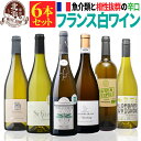 すべてフランス産 白ワインセット 【 送料無料 】 魚介類と相性抜群の辛口 白ワイン 6本セット 第12弾 【5,520円OFF】 | 白ワイン フランス ギフト プレゼント おしゃれ お祝いお中元 夏ギフト 【熨斗・のし対応 無料】