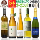オーガニック認証【 送料無料 】 オーガニックワイン 白ワイン スパークリング 5本セット 第11弾【3,196円OFF】 | 自然派 セット イタリア スペイ...