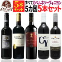 【 送料無料 】色んな国の カベルネ・ソーヴィニヨン 赤ワイン 5カ国 5本セット 第02弾 【2,866円OFF】 | 赤ワイン ワインセット フランス スペ...