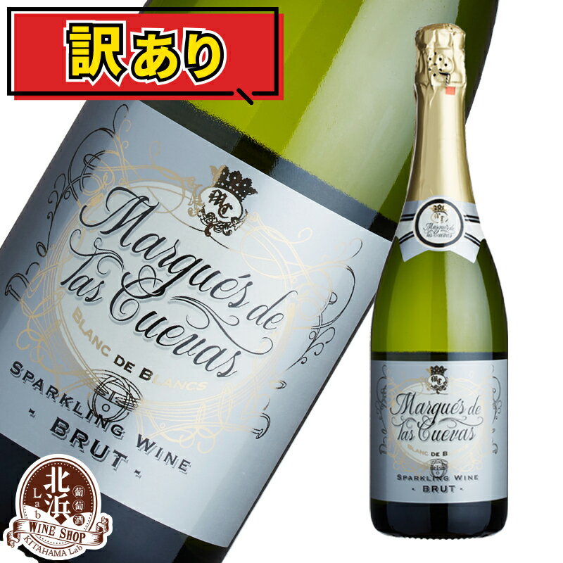 50%OFF！【訳あり 大特