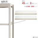 【個人宅も送料無料】 中量棚300・500kg用 中棚受 奥行45cm用 2本入 ニューアイボリー 【スチールラック楽天最安値に挑戦!】 【スチール棚 スチール...