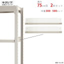 【個人宅も送料無料】 中量棚300・500kg用 中棚受 奥行75cm用 2本入 ニューアイボリー 【スチールラック楽天最安値に挑戦!】 【スチール棚 スチールラック 業務用 収納棚 収納ラック】