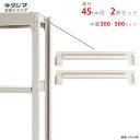 【個人宅も送料無料】 中量棚300・500kg用 天棚受 奥行45cm用 2本入 ニューアイボリー 【スチールラック楽天最安値に挑戦!】 【スチール棚 スチール...