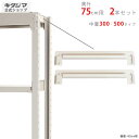 【個人宅も送料無料】 中量棚300・500kg用 天棚受 奥行75cm用 2本入 ニューアイボリー 【スチールラック楽天最安値に挑戦!】 【スチール棚 スチール...