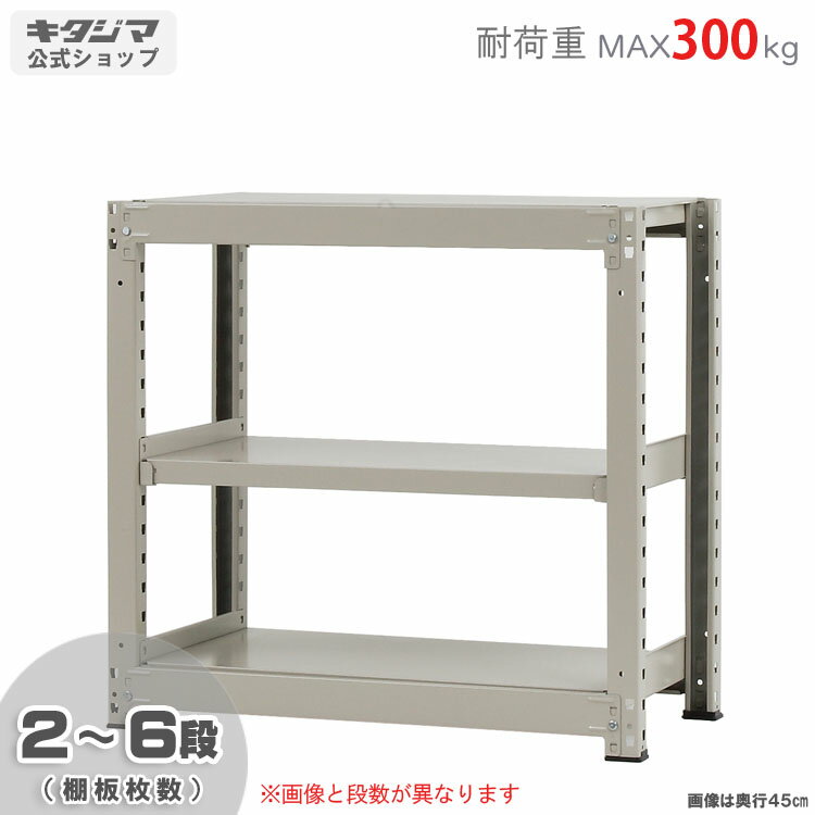 【個人宅も送料無料】 中量ラック300kg 単体 幅90×奥行90×高さ90cm 2〜6段 ニューアイボリー 300kg/段 【スチールラック★楽天最安値に挑戦...