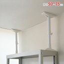 【個人宅も送料無料】 突ぱり耐震ポール REQ-50L 高さ50〜75cm ホワイト 【突っ張り棒楽天最安値に挑戦!】 【スチール棚 スチールラック 収納棚 収...
